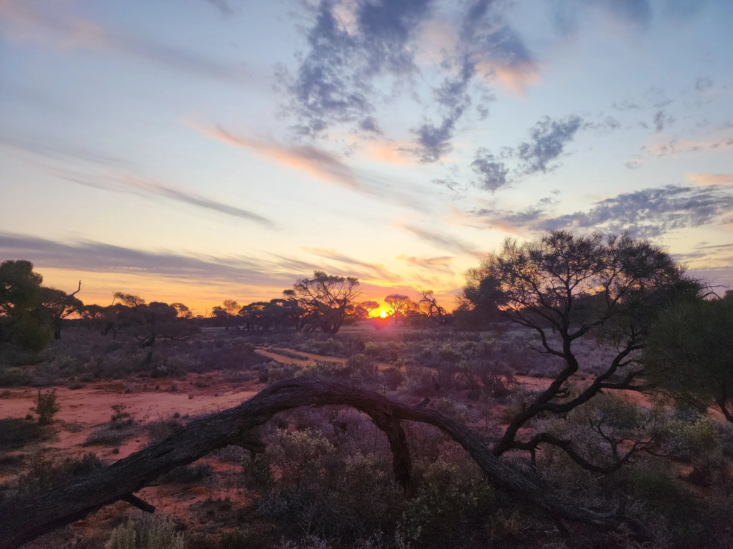 Australian outback sunset